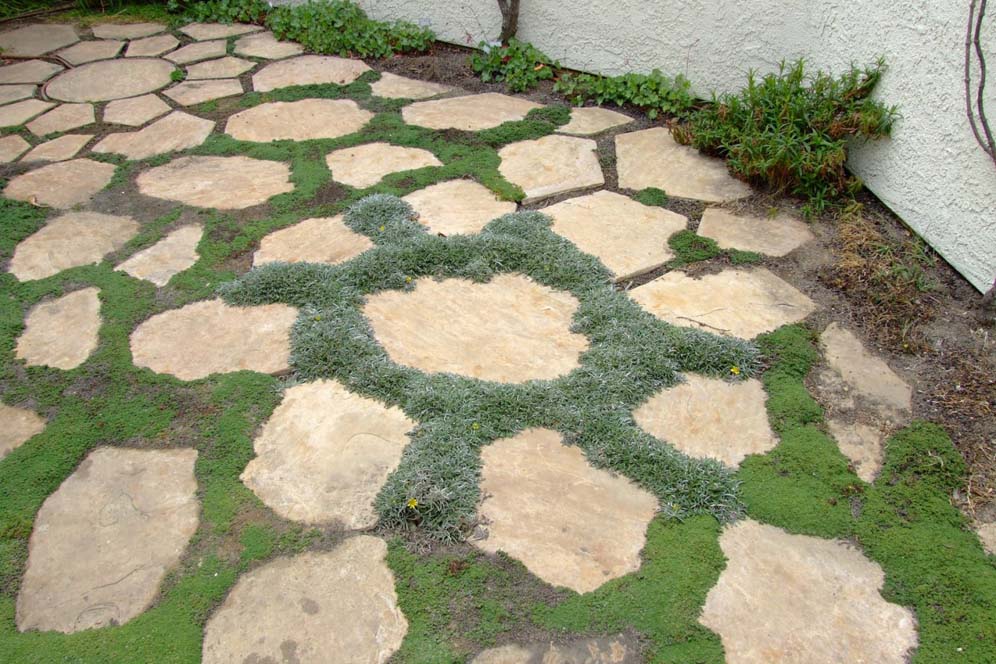 Organic Shaped Pavers and Groundcover
