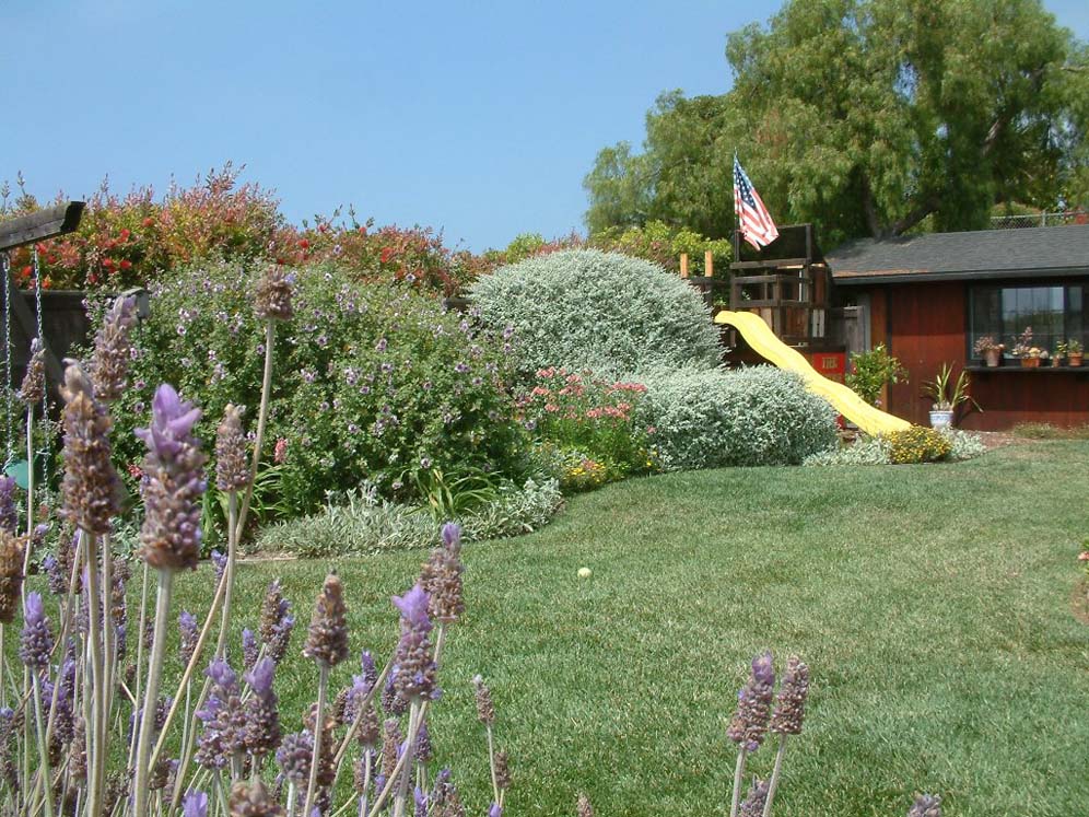 Yellow Slide in the Garden