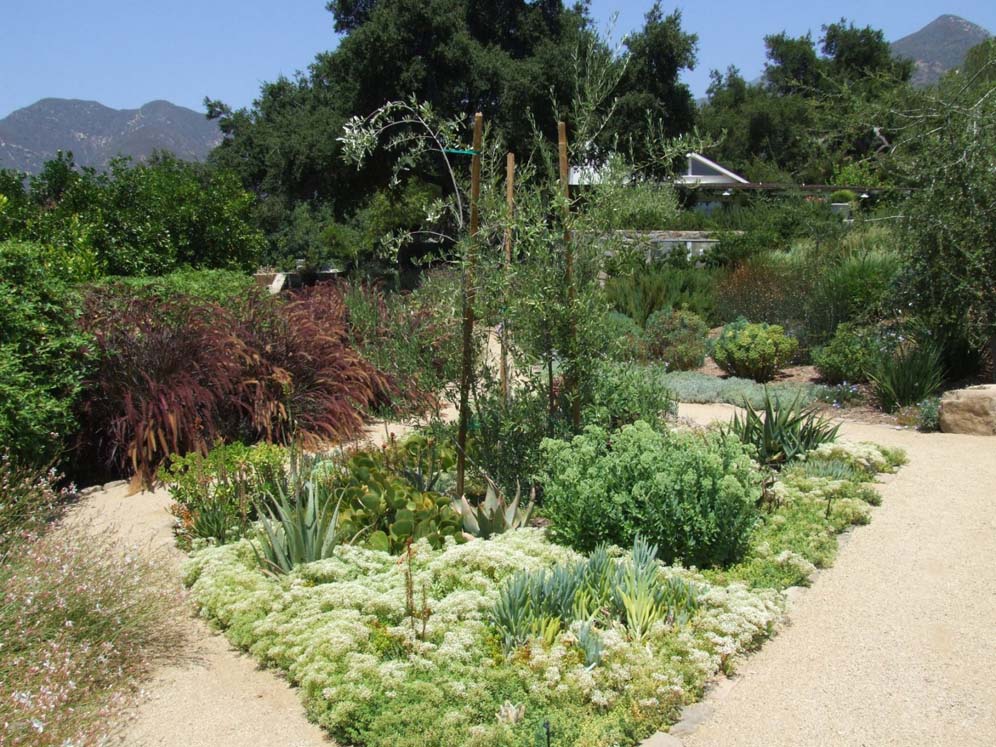 Monochromatic Green Bed