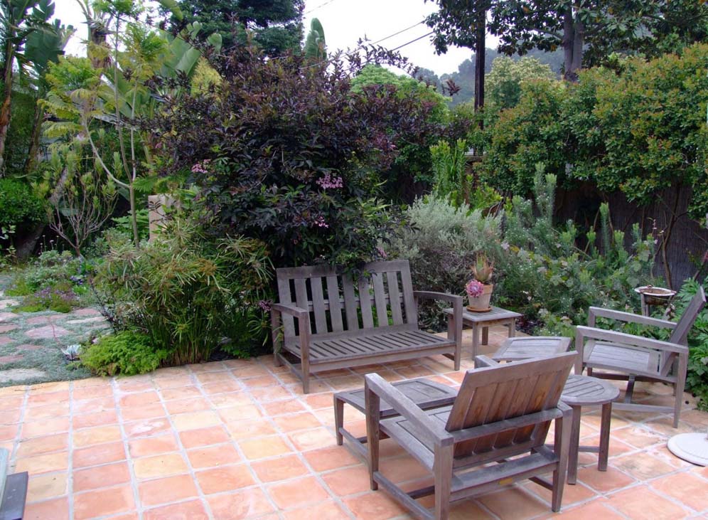 Patio and Living Screen