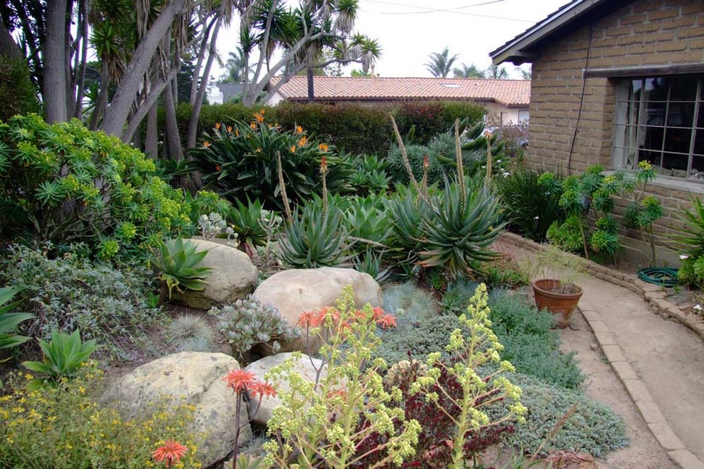 Drama with Boulders and Succulents