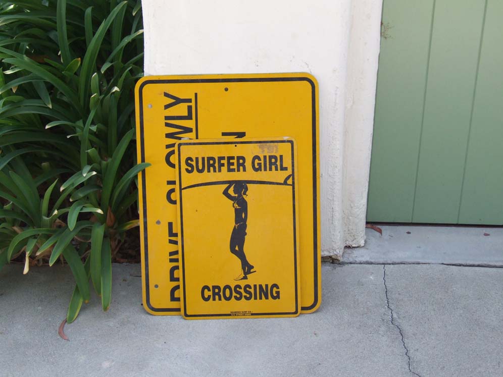 Surfer Girl Crossing