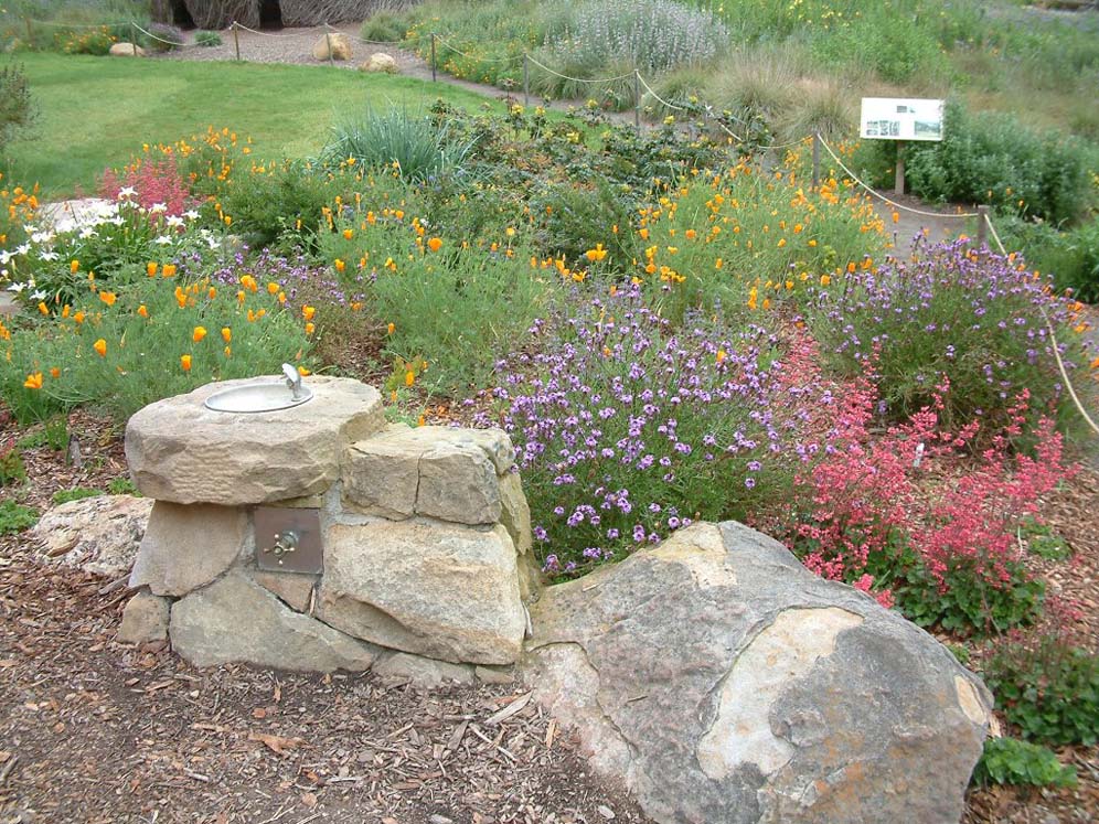 Santa Barbara Botanic Garden: Detail