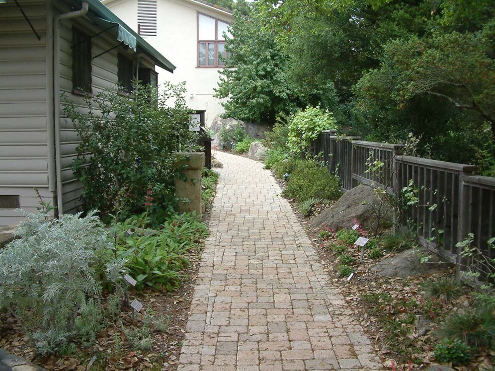 Orderly Pavers