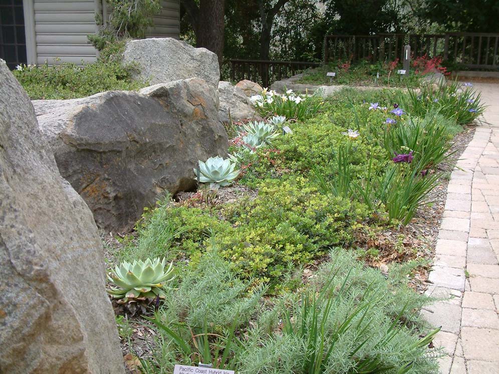 Santa Barbara Botanic Garden: Walk