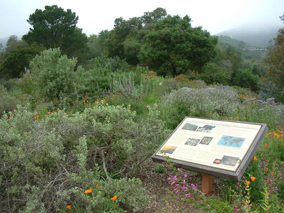 Santa Barbara Botanic Garden: Signage