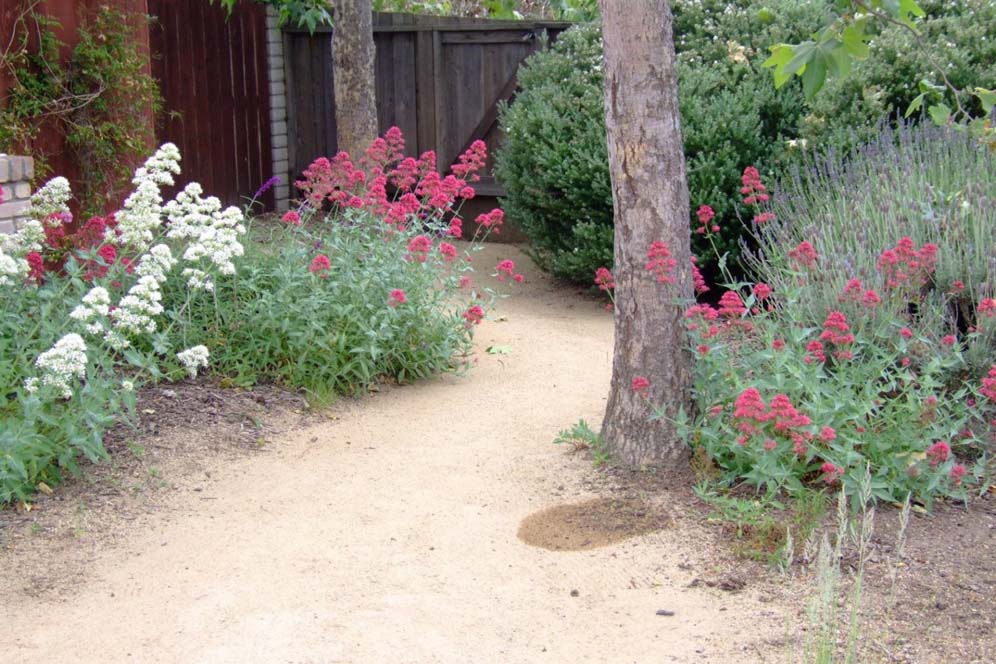 Colorful Pathway1