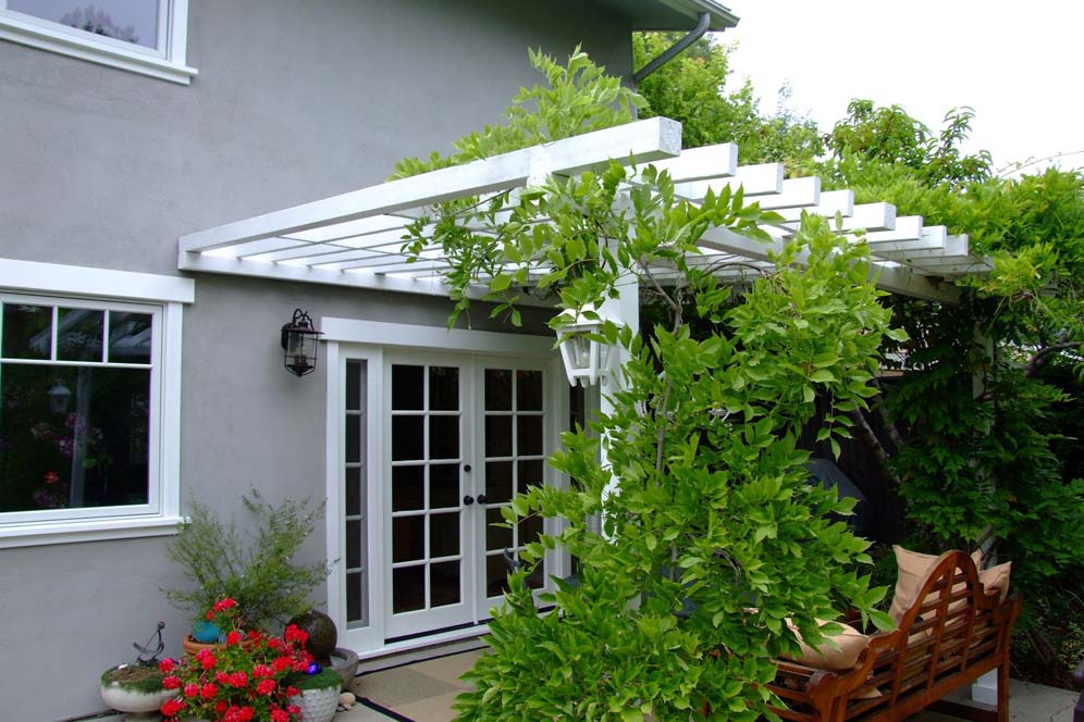 Vined Trellis for Privacy