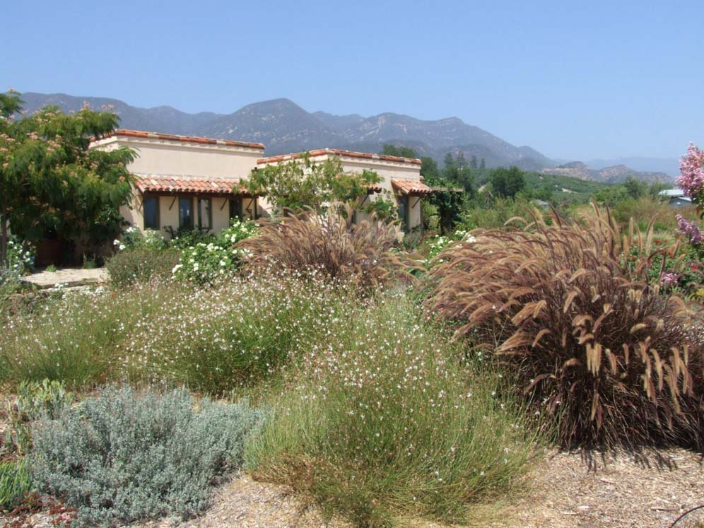 Billowy Shrub Mounds