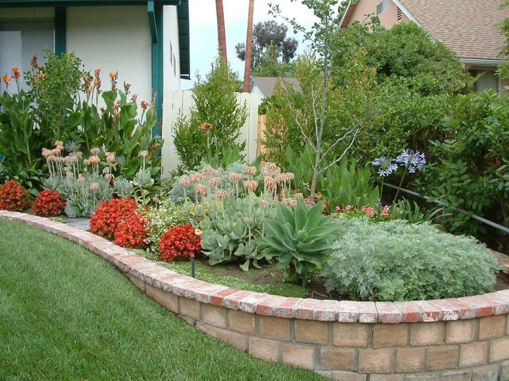 Color Border at Edge of Grass