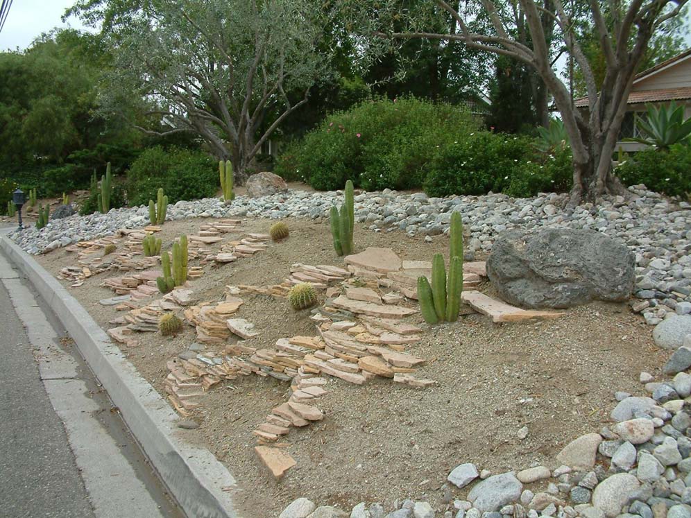 Stacked Pavers and Cacti