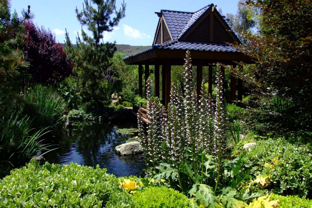 Gardens of the World: Japanese Garden
