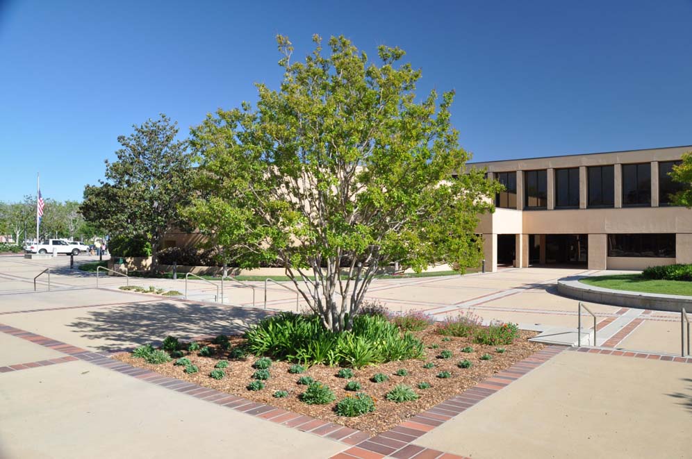 Simi Valley Library 4