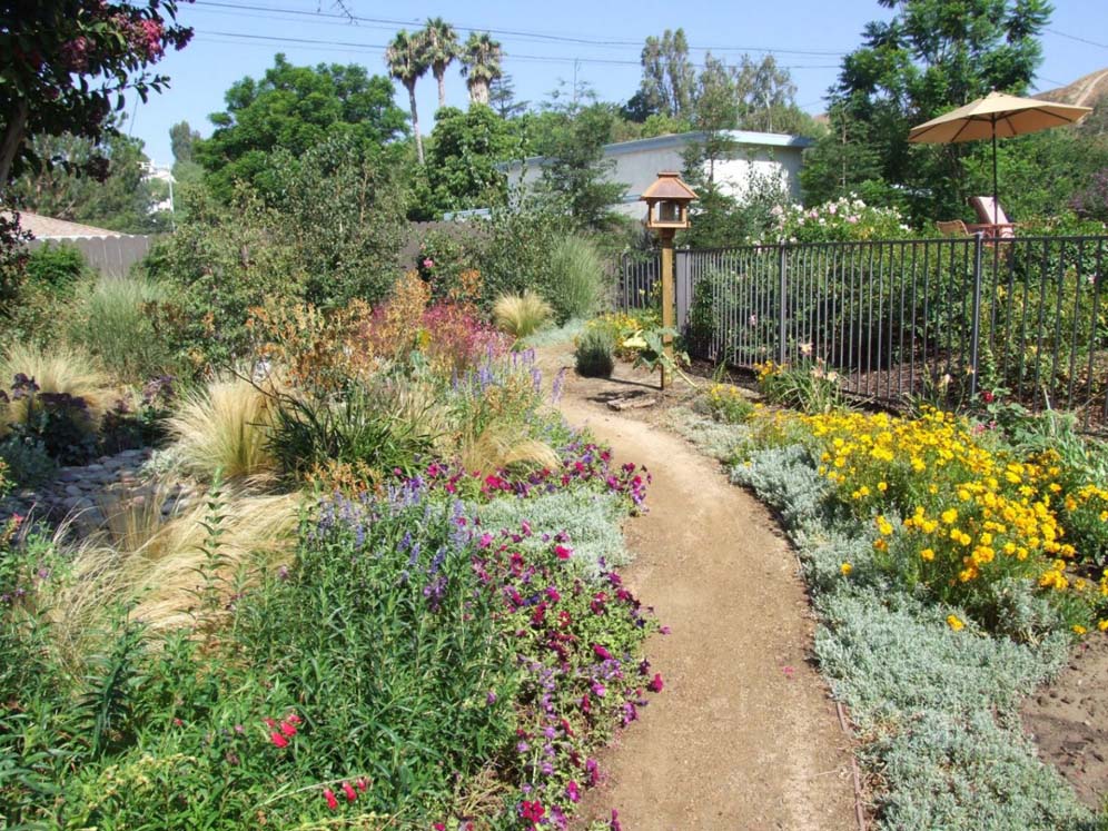 DG Path