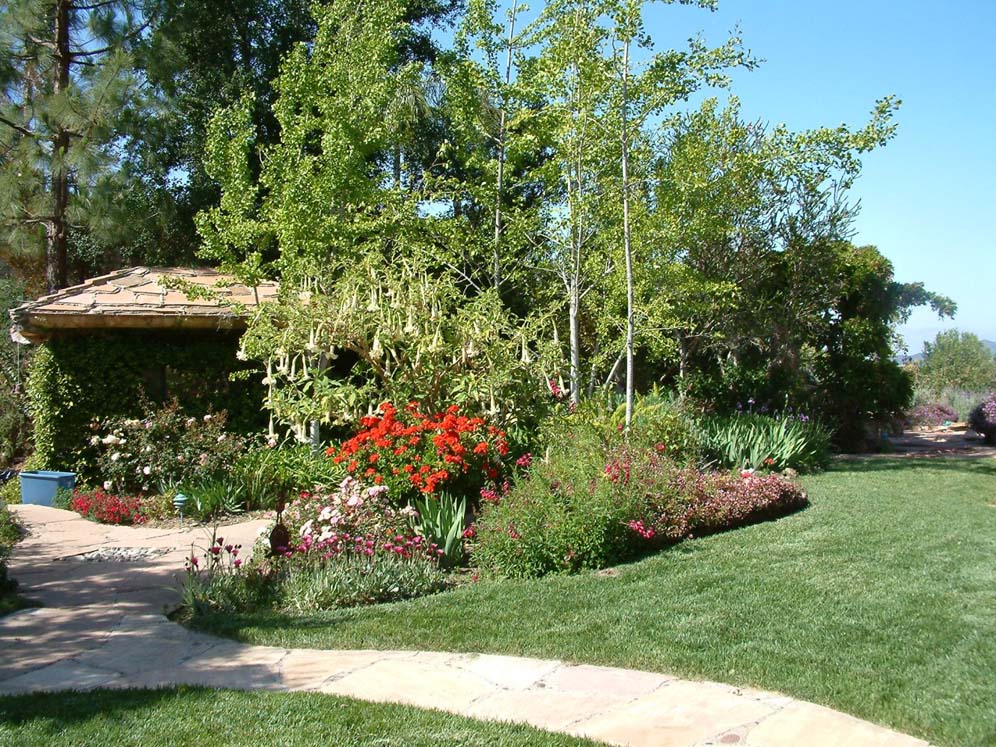 Colorful Perennial Bed