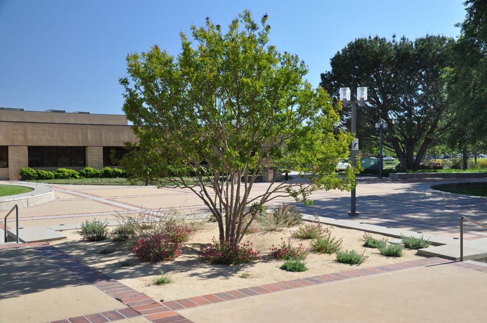 Simi Valley Library 9