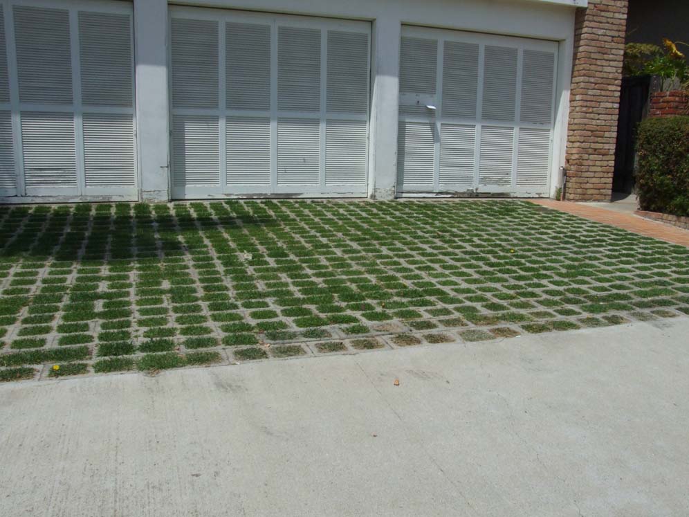 Verdant Squares in Driveway