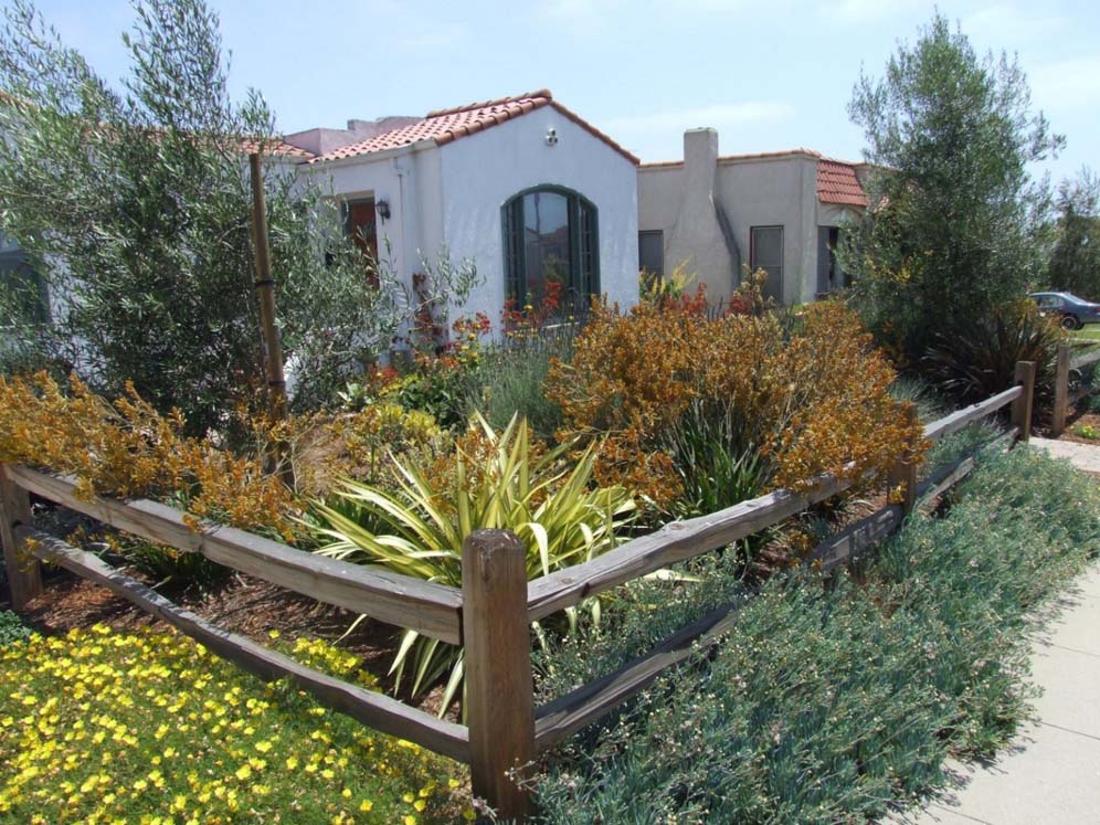 Corner Fencepost and Shrubs