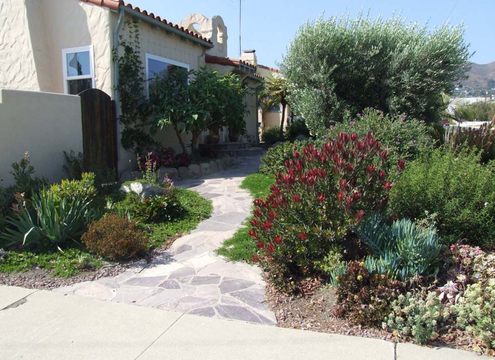 Mediterranean Style Garden