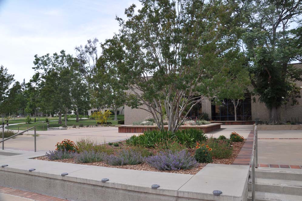 Simi Valley Library 30