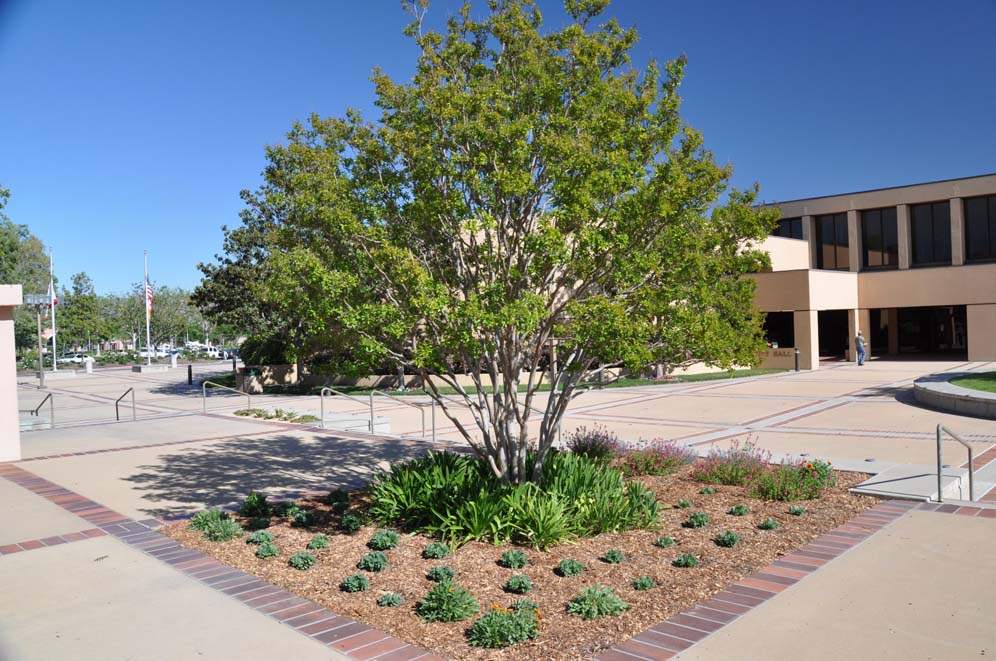 Simi Valley Library 33