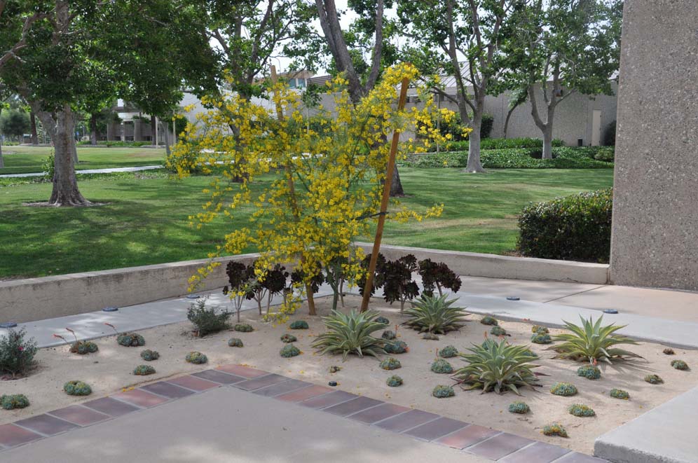 Simi Valley Library 35