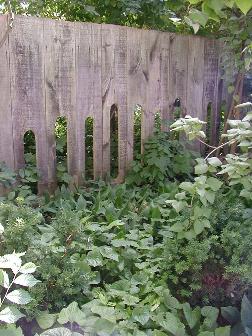 Peek-a-boo Fence