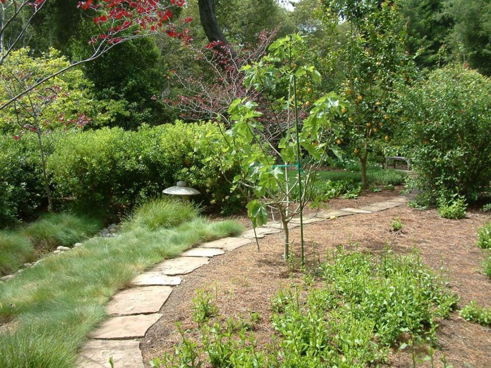 Grass-Lined Pavers