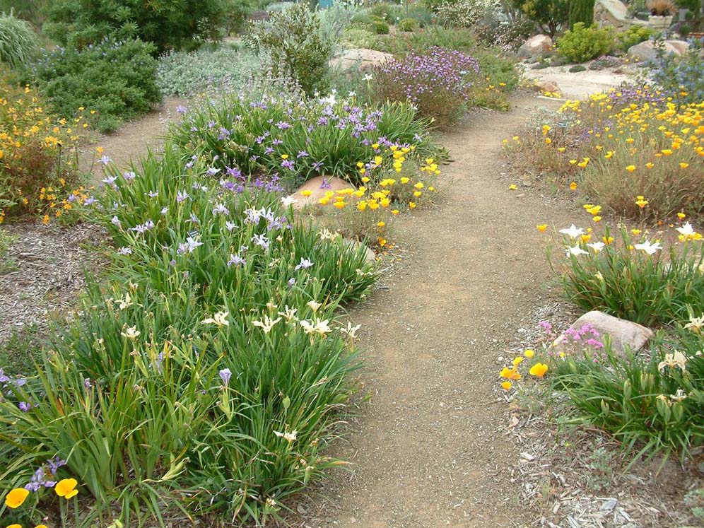 Path Through Cornucopia
