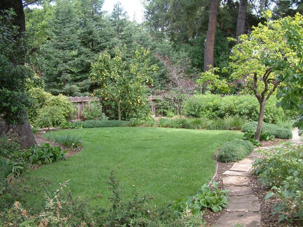 Panoramic View of Fruit Tree and Garden