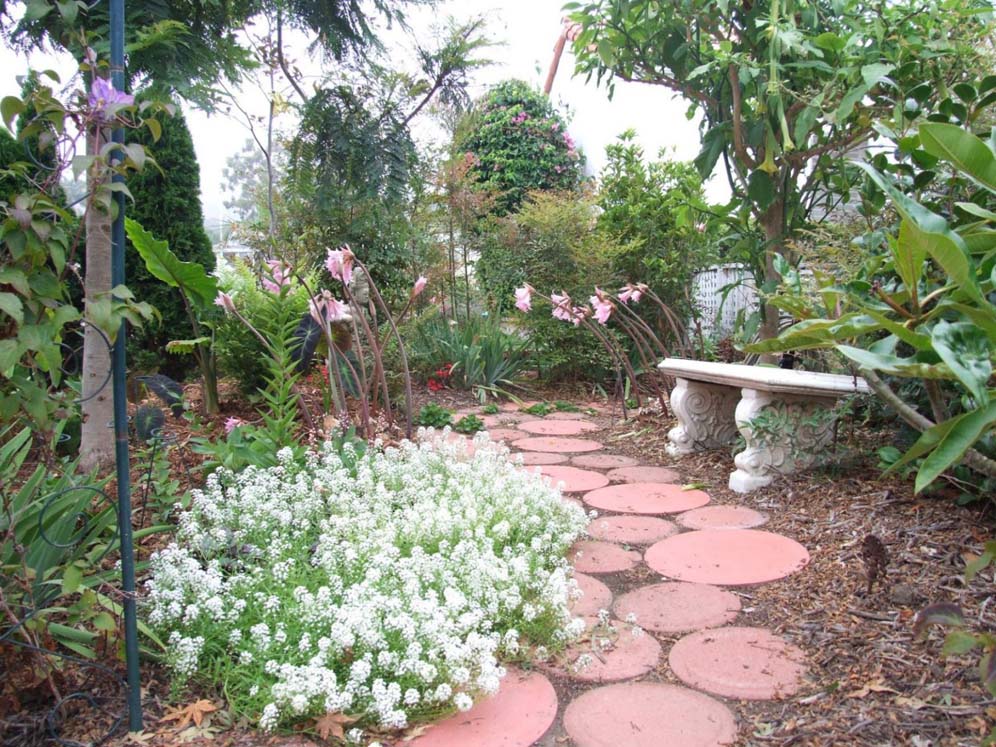 Pink Circles Stepping Stones