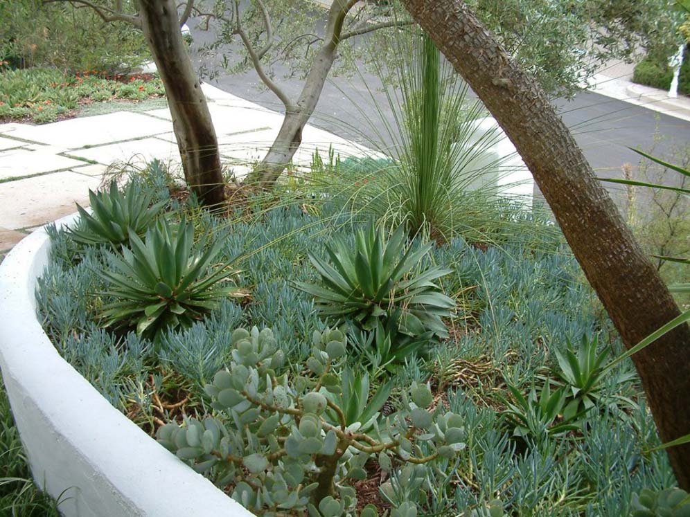 Cal Greek Front Planter