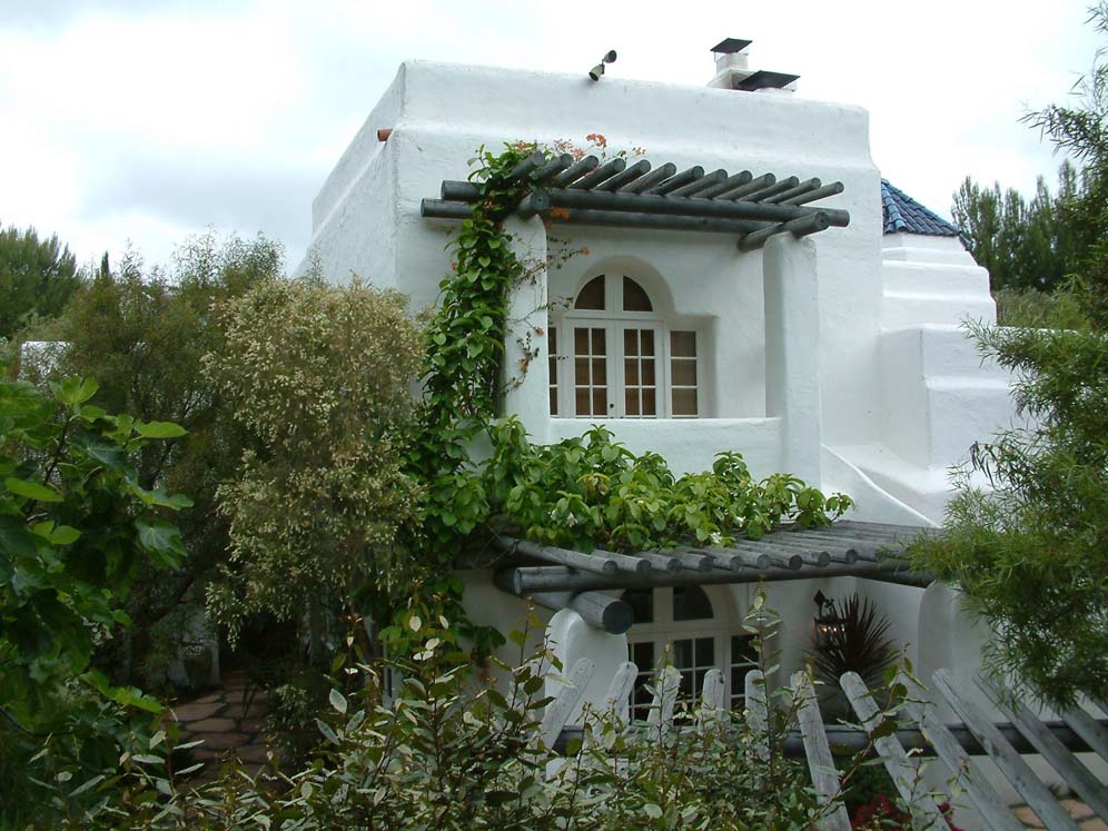 Vines on Overhangs