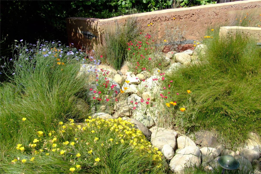 Rocks, Stones and Grasses