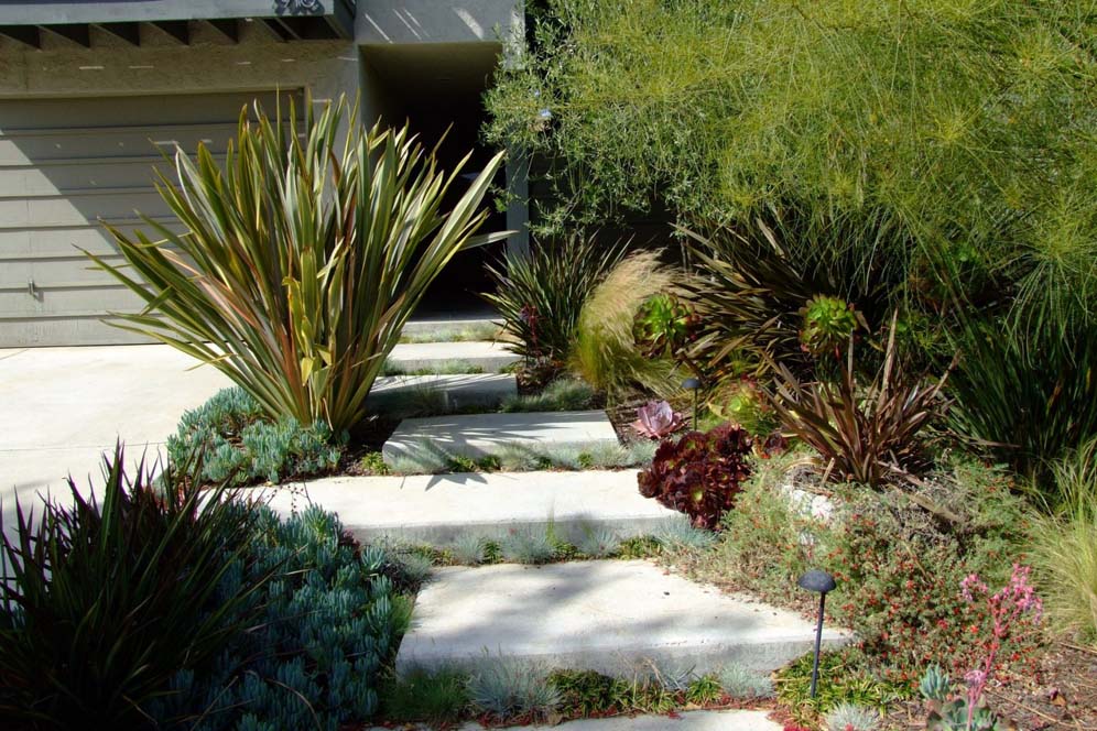 Informal Concrete Squares and Plantings