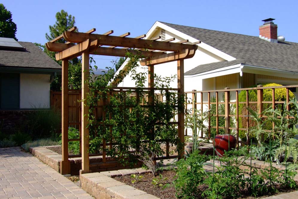 Vegetable Garden