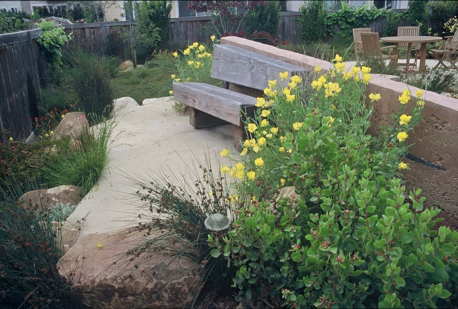 Back Bench in the University Garden