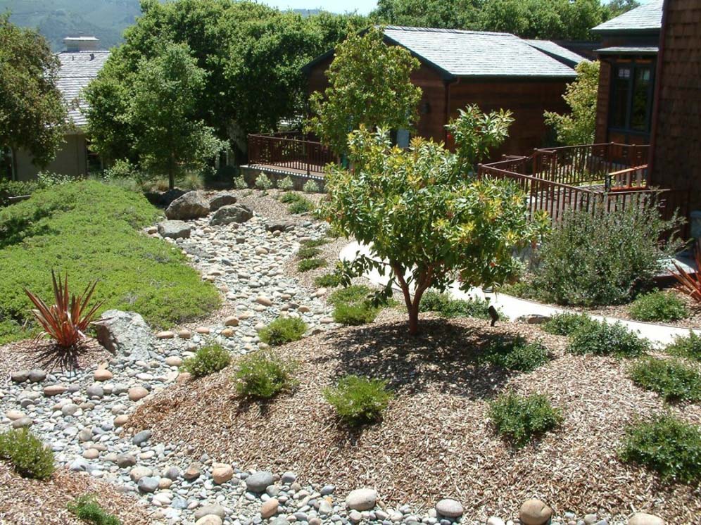 Berms and Dry Creekbed