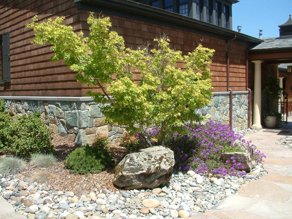 Tree and Boulder