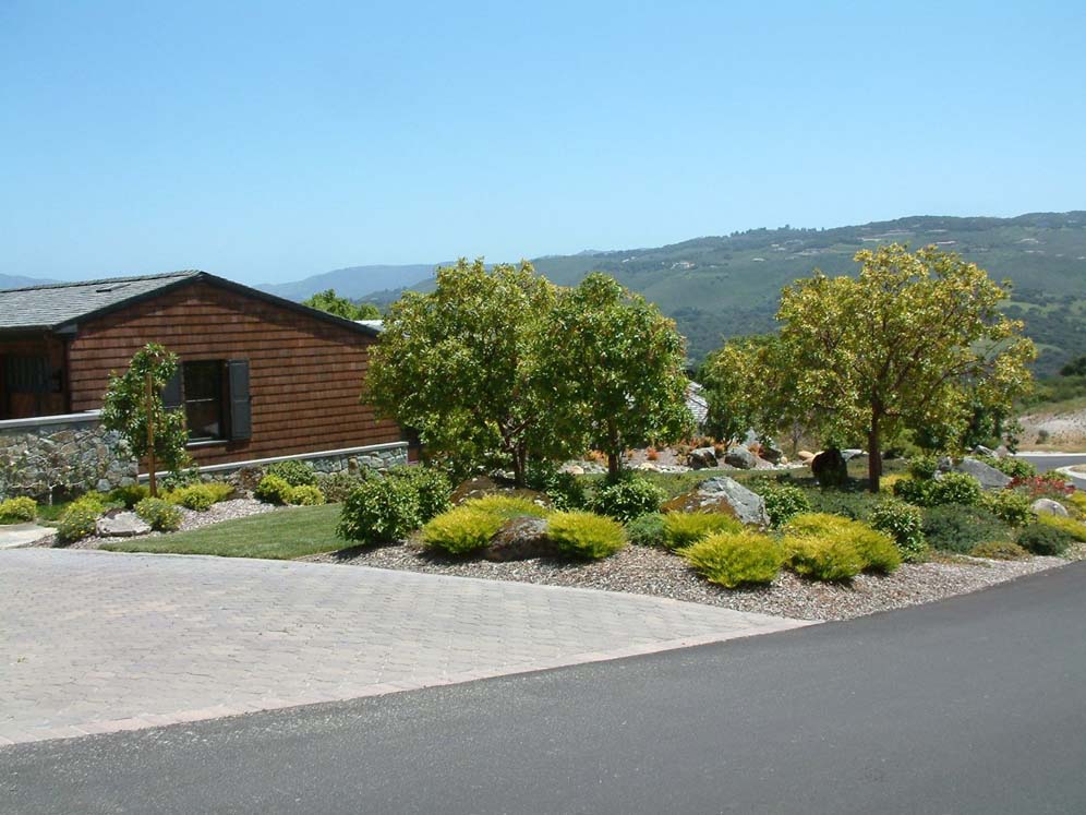 Yellow-Green Shrubs and Trees