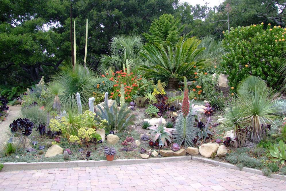 Variety Hillside