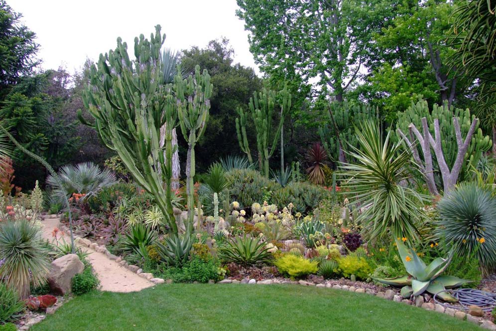 Southwest Sanctuary