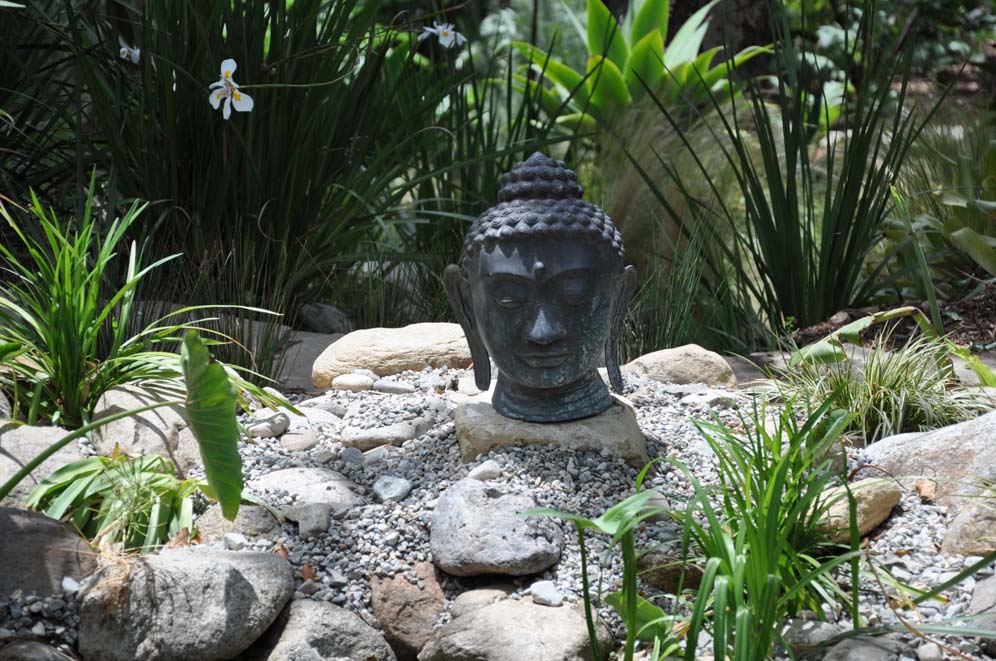 Buddha's Head