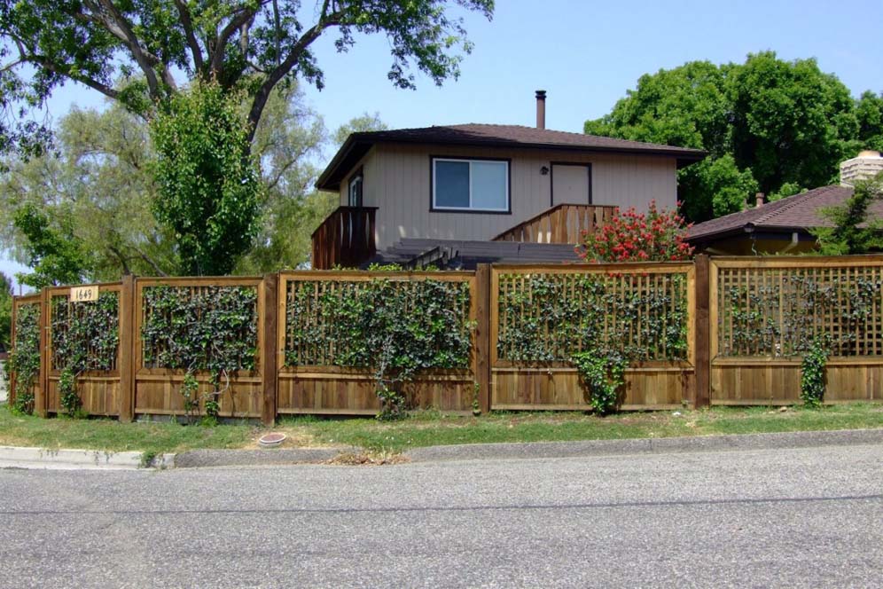 Grid Type Fencing with Vines