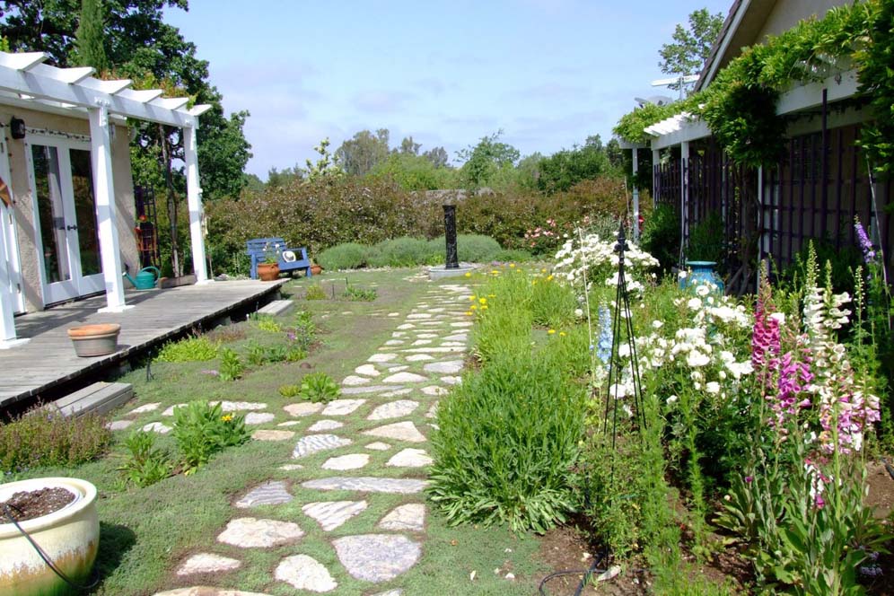 Tranquil Garden