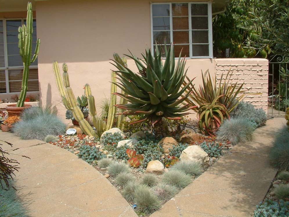 Desert Corner