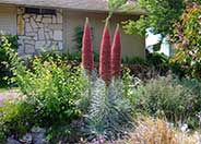 Tower of Jewels